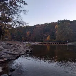Tyler State Park - Yardley