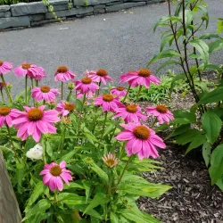 Yardley Historic District - Yardley