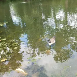 Yardley Historic District - Yardley