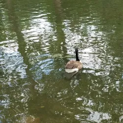 Yardley Historic District - Yardley