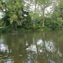 Yardley Historic District - Yardley