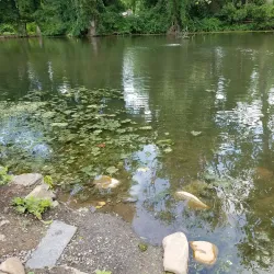 Yardley Historic District - Yardley