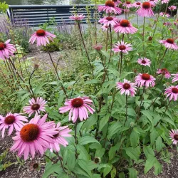 Yardley Historic District - Yardley