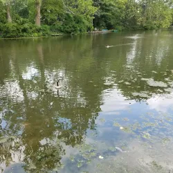 Yardley Historic District - Yardley