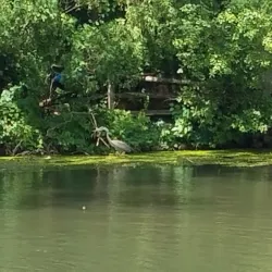 Yardley Historic District - Yardley