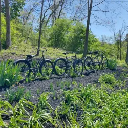 Heritage Rail Trail County Park - York