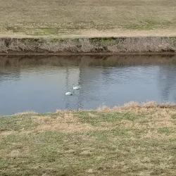 Heritage Rail Trail County Park - York