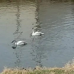 Heritage Rail Trail County Park - York