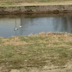 Heritage Rail Trail County Park - York