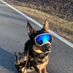 Coventry Greenway - Coventry