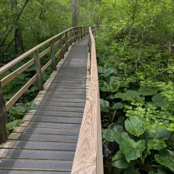 George B. Parker Woodland Conservation Area - Coventry
