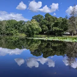 Meshanticut State Park - Coventry