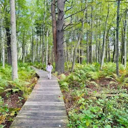 Nashawena Park - Coventry