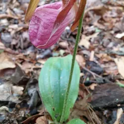 Cumberland Community Park - Cumberland