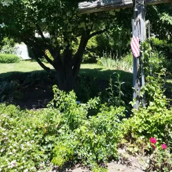 Cumberland Public Library - Cumberland