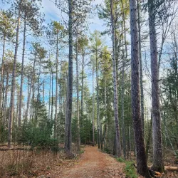 Cumberland Town Forest - Cumberland