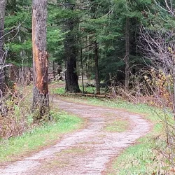 Cumberland Town Forest - Cumberland