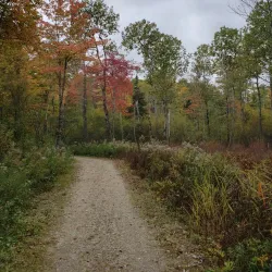 Cumberland Town Forest - Cumberland