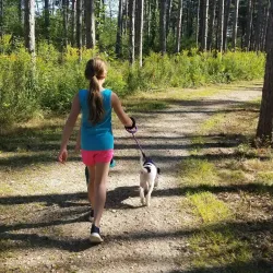 Cumberland Town Forest - Cumberland