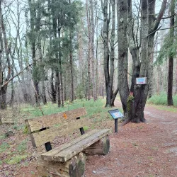 Cumberland Town Forest - Cumberland