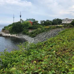 Cliff Walk - Newport