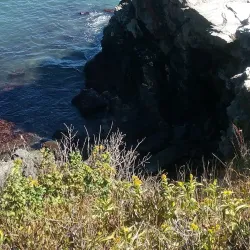 Cliff Walk - Newport