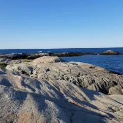 Cliff Walk - Newport
