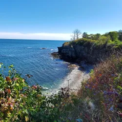 Cliff Walk - Newport