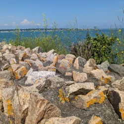 Cliff Walk - Newport