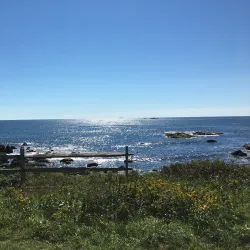 Sachuest Point National Wildlife Refuge - Newport