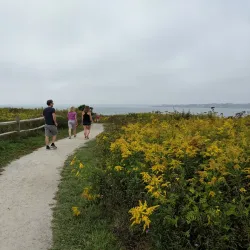 Sachuest Point National Wildlife Refuge - Newport