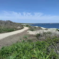 Sachuest Point National Wildlife Refuge - Newport
