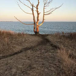 Sachuest Point National Wildlife Refuge - Newport