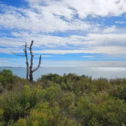 Sachuest Point National Wildlife Refuge - Newport