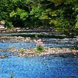 Blackstone River Bikeway - Pawtucket