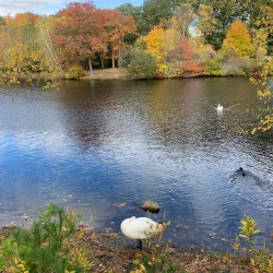Slater Memorial Park - Pawtucket