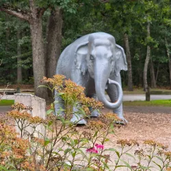 Slater Park - Pawtucket