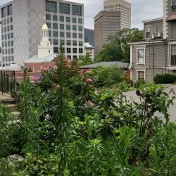 Benefit Street Historic District - Providence