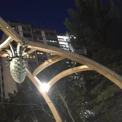 Federal Hill - Providence