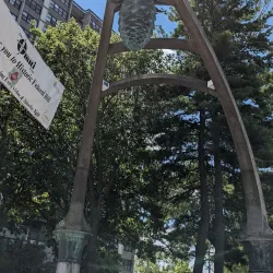 Federal Hill - Providence