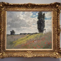 RISD Museum - Providence