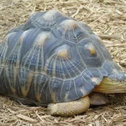 Roger Williams Park Zoo - Providence