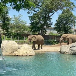 Roger Williams Park Zoo - Providence