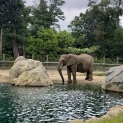 Roger Williams Park Zoo - Providence
