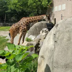 Roger Williams Park Zoo - Providence