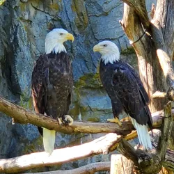 Roger Williams Park Zoo - Providence