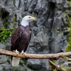 Roger Williams Park Zoo - Providence