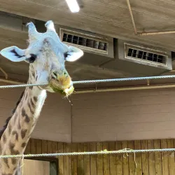 Roger Williams Park Zoo - Providence