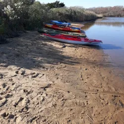 Green Hill Pond Preserve - Wakefield-Peacedale