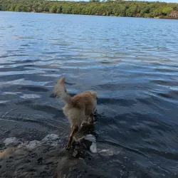 Narrow River Preserve - Wakefield-Peacedale